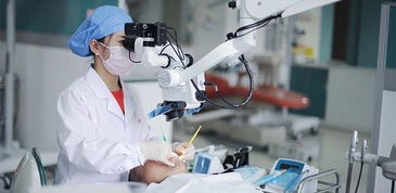 深度解析 成都高新區人工智能產業發展藍皮書——聚焦人工智能應用軟件開發新紀元